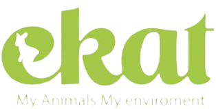 ekat.ae_Logo-removebg-preview